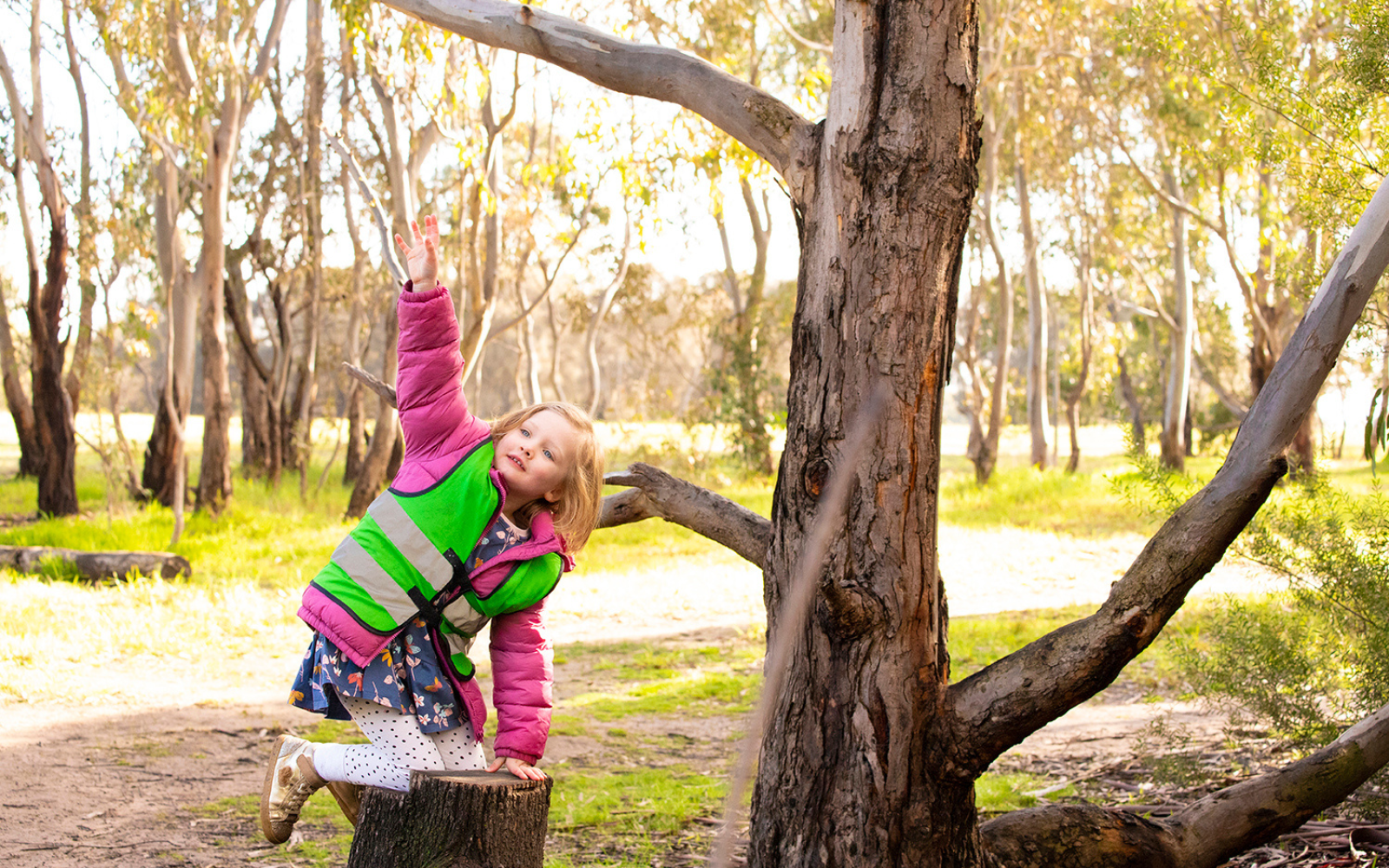 Professor Lynn Corcoran Early Learning Centre: FROEBEL Parkville