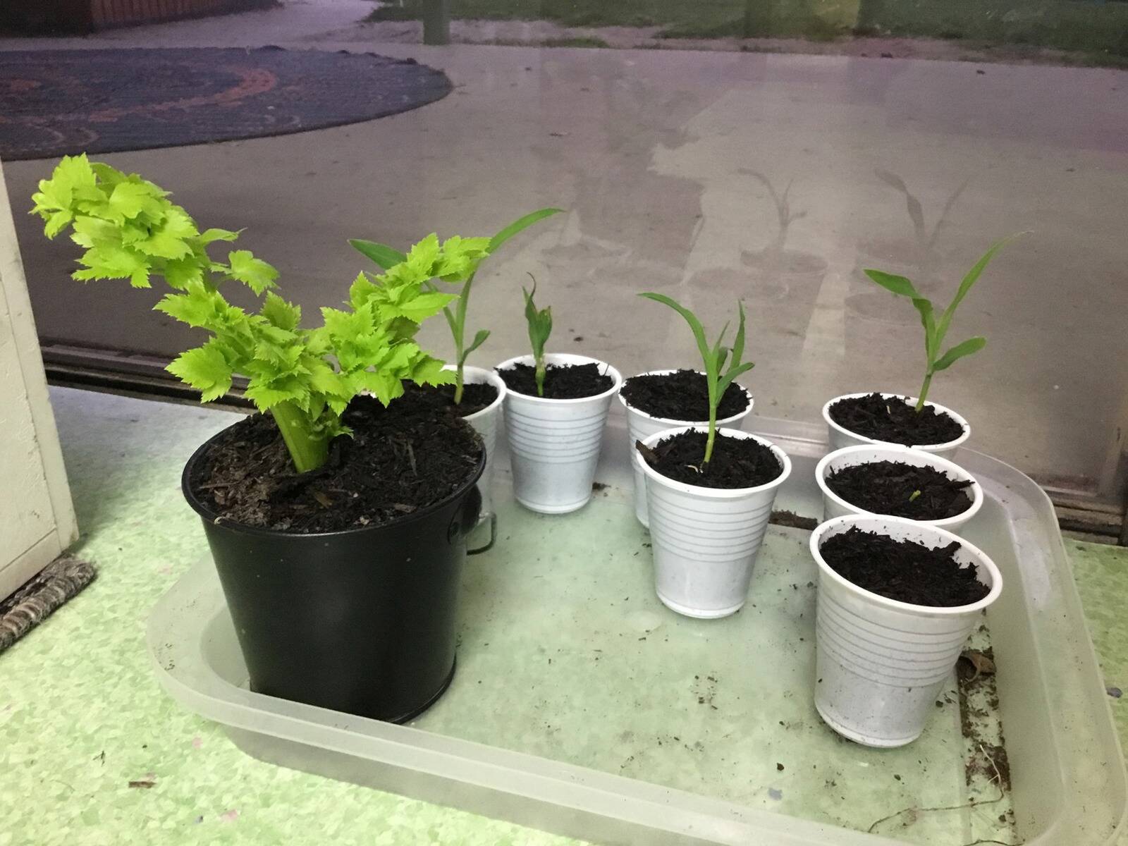 Goodstart Early Learning Thurgoona