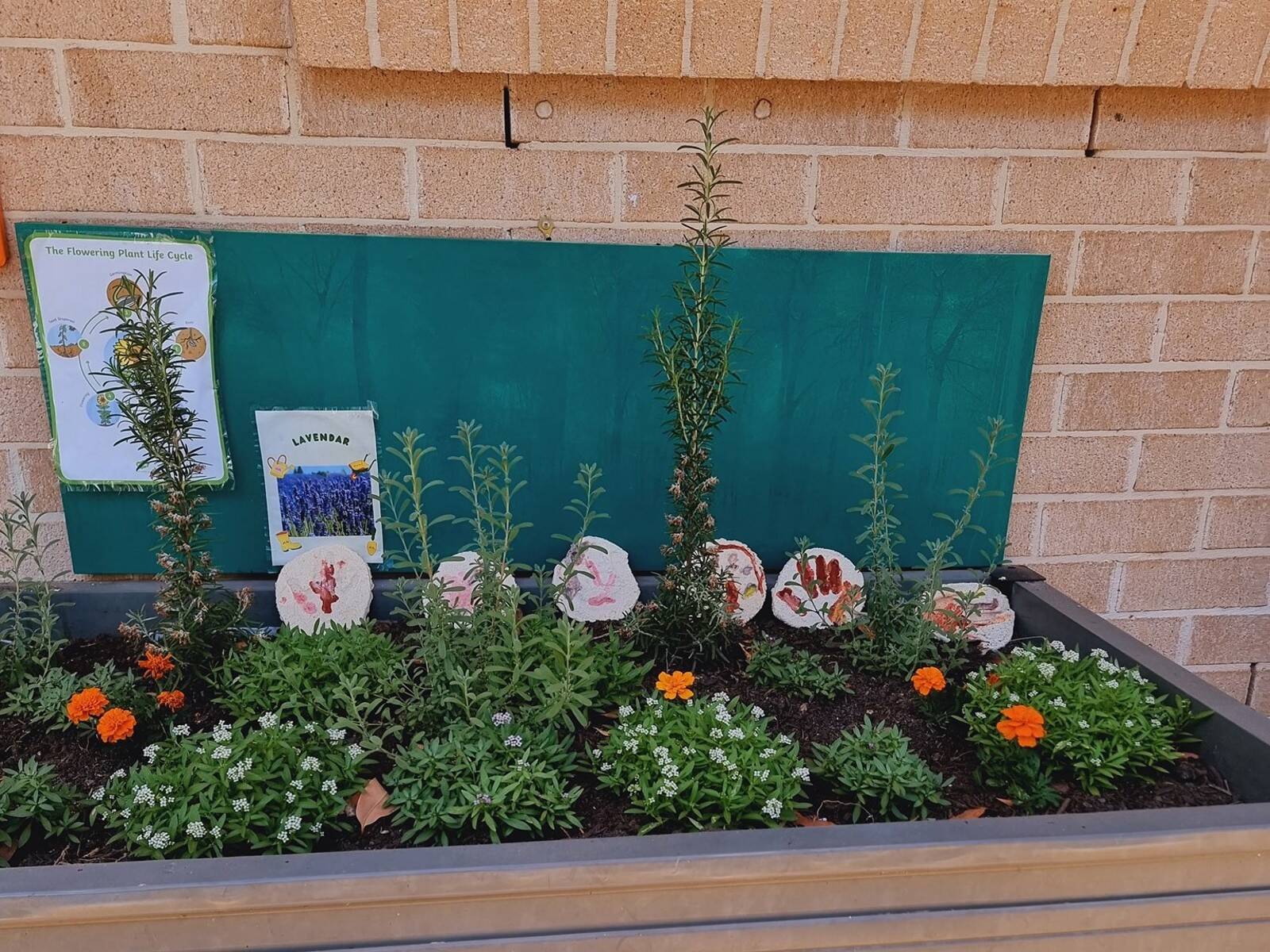 Goodstart Early Learning Dakabin