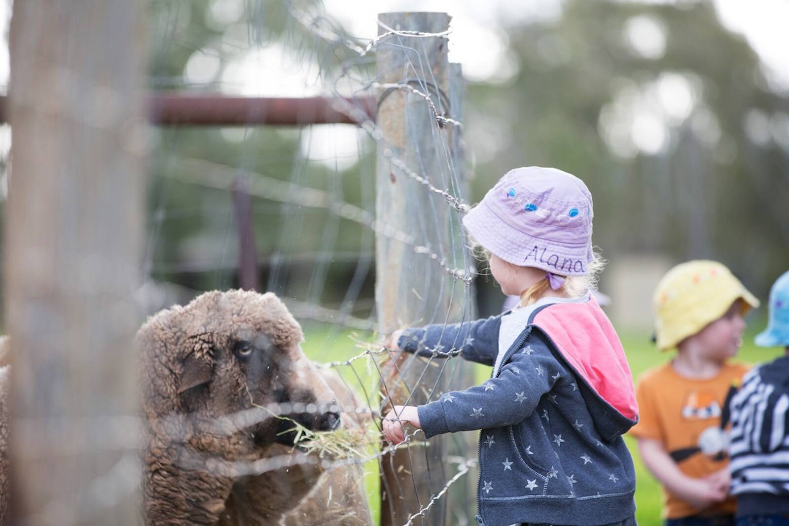 Goodstart Early Learning Penfield