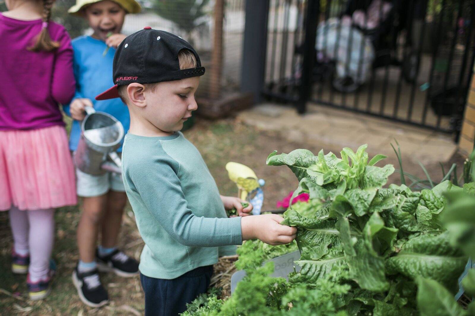 Goodstart Early Learning Camira