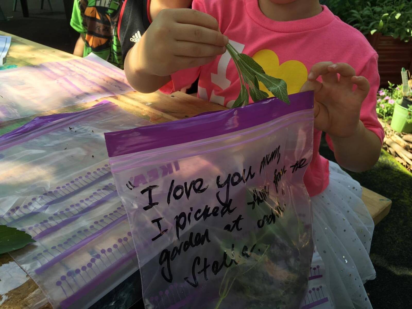 Hilltop Kids Preschool and Long Day Care Centre