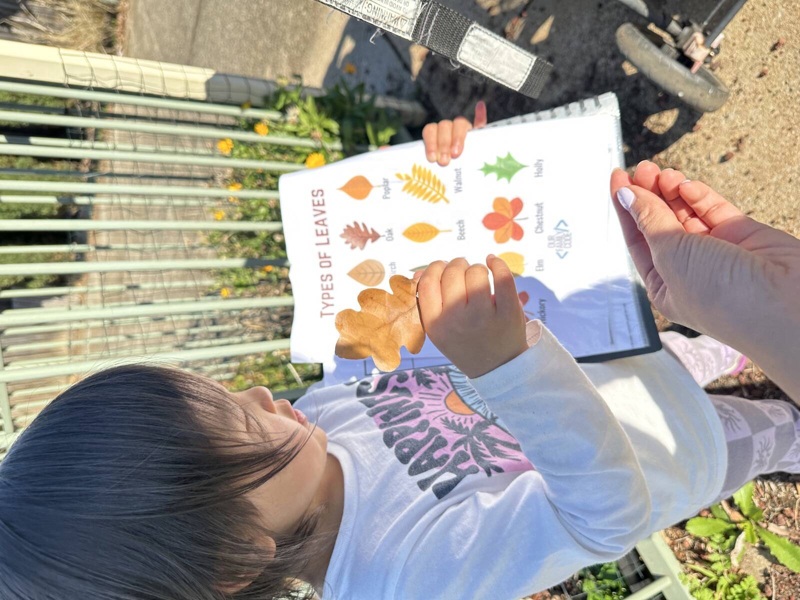 Nadia's Family Day Care