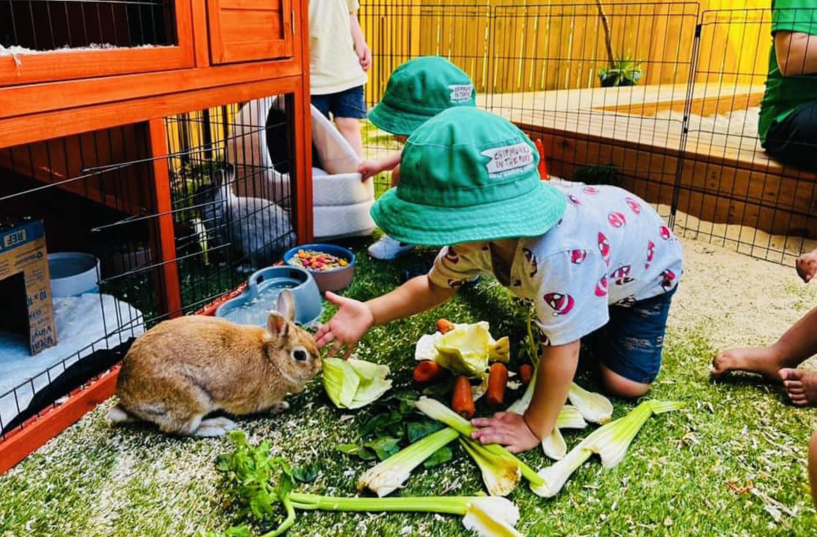 Chipmunks in the Park - Lethbridge Park Early Learning Centre