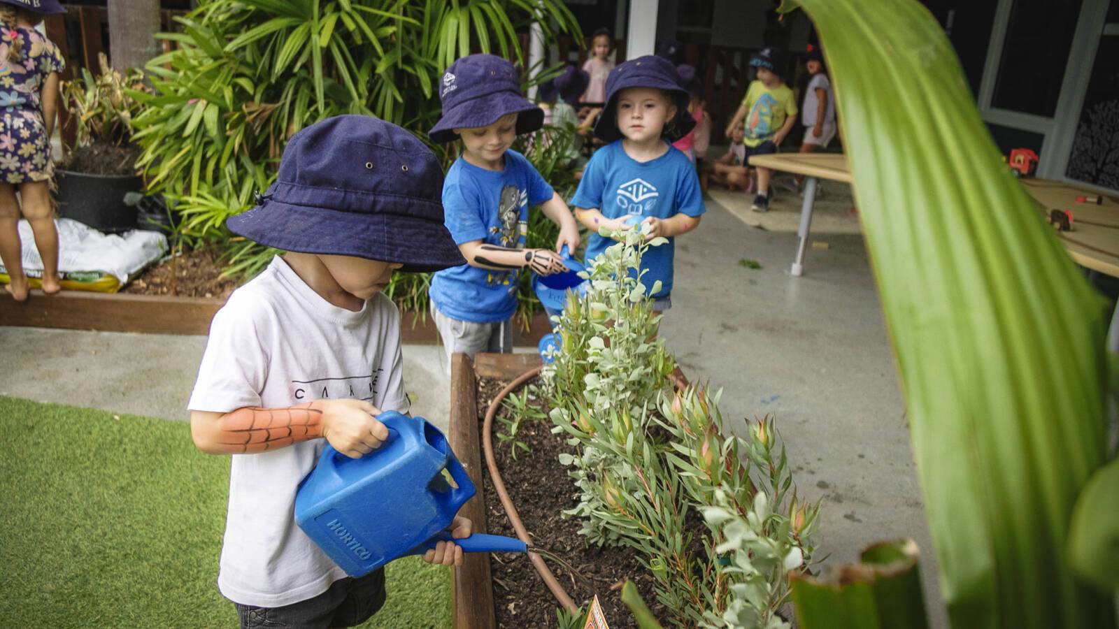 Sanctuary Early Learning Adventure - Maudsland