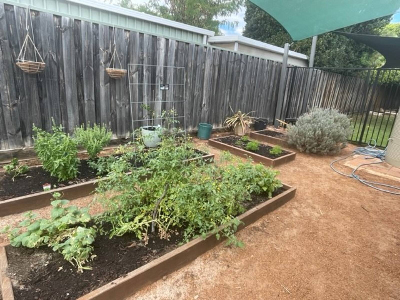 Sparrow Early Learning Camillo