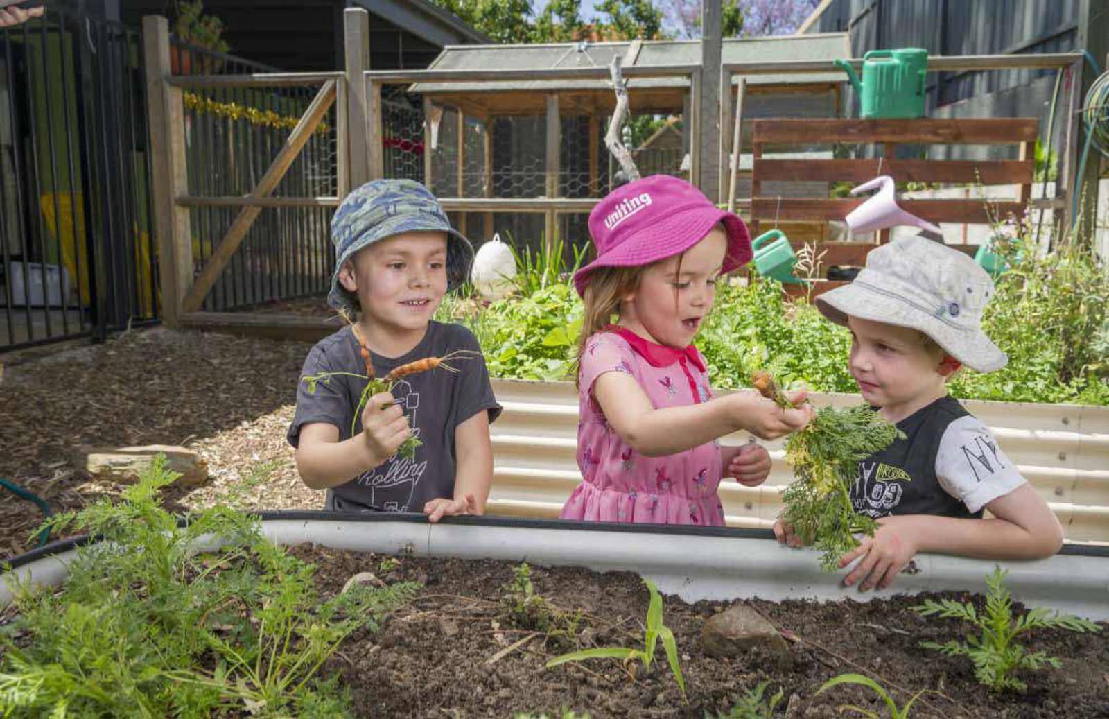 Precious Cargo Collinswood