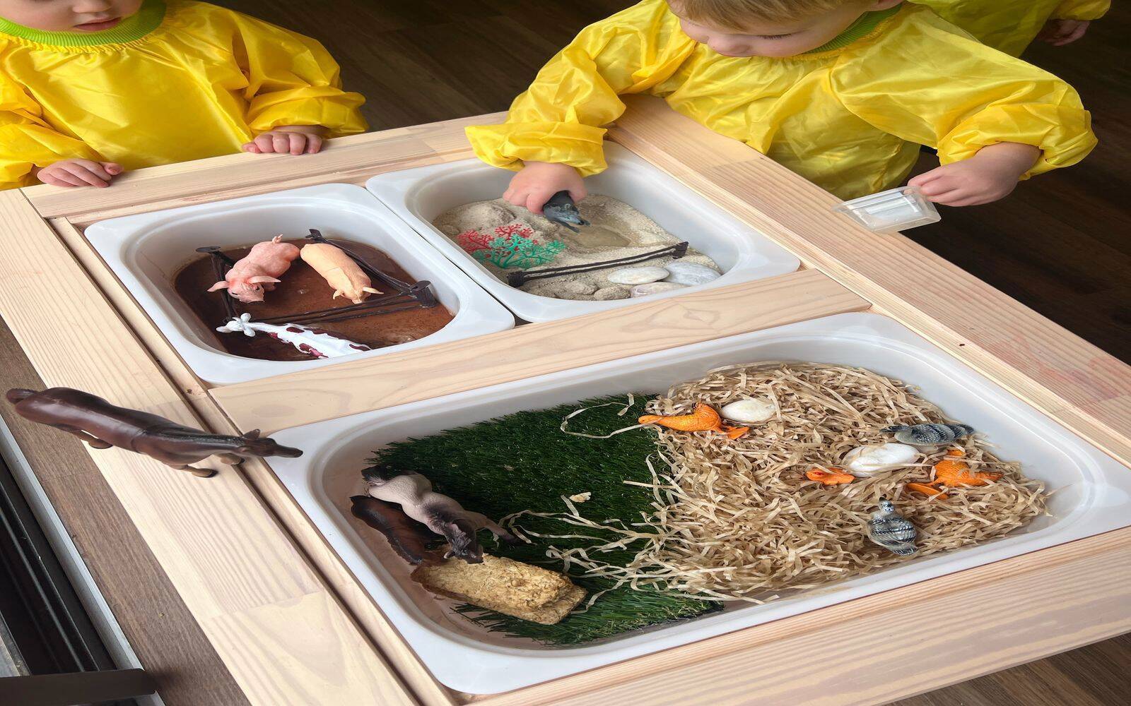 Kids Cove Family Day Care