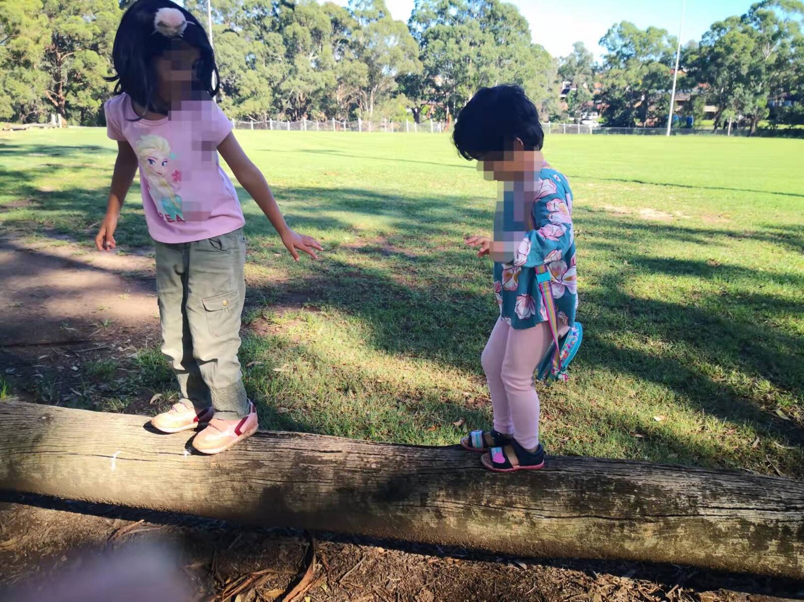 Sunflowers Family Day Care