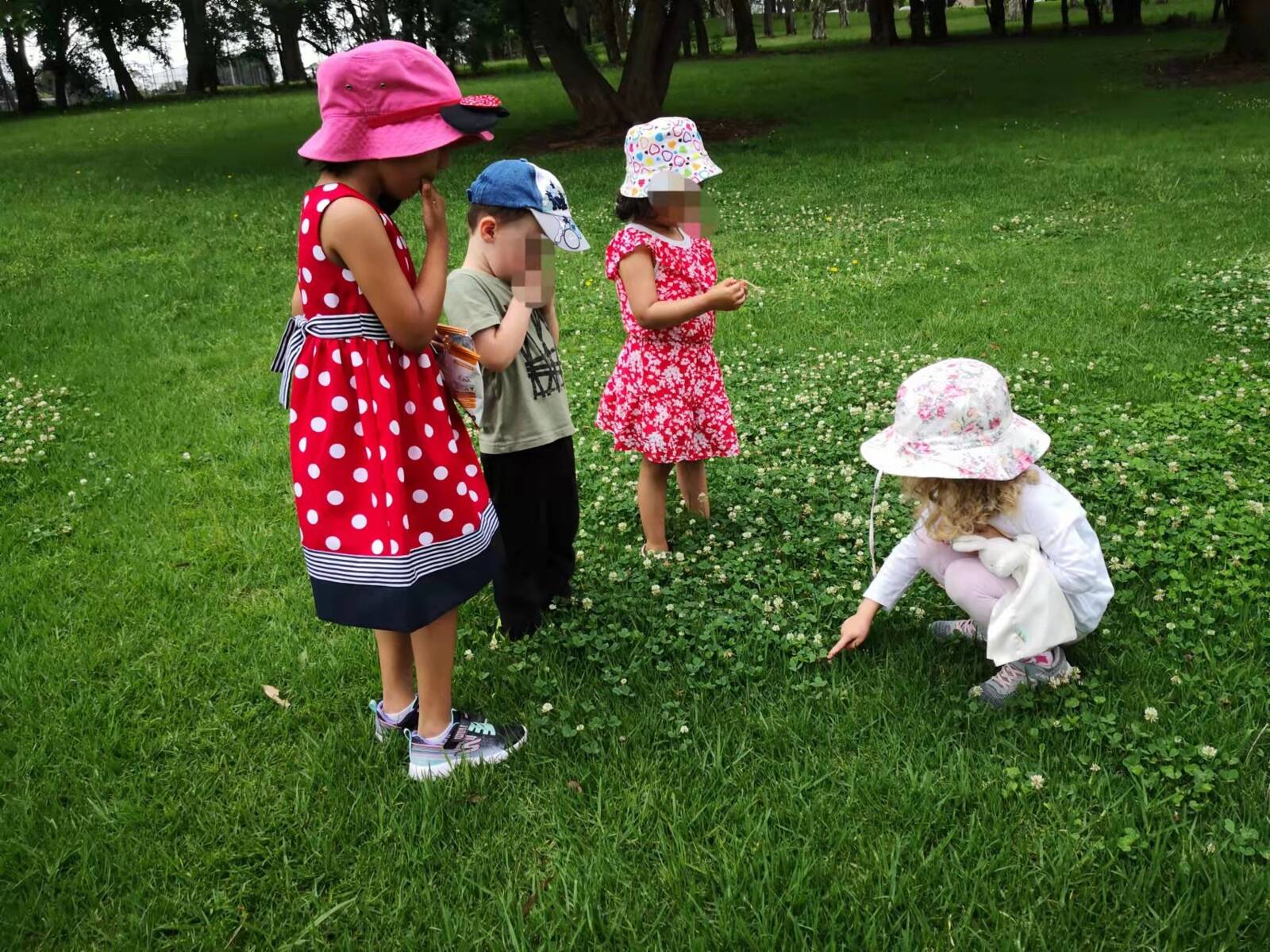 Sunflowers Family Day Care