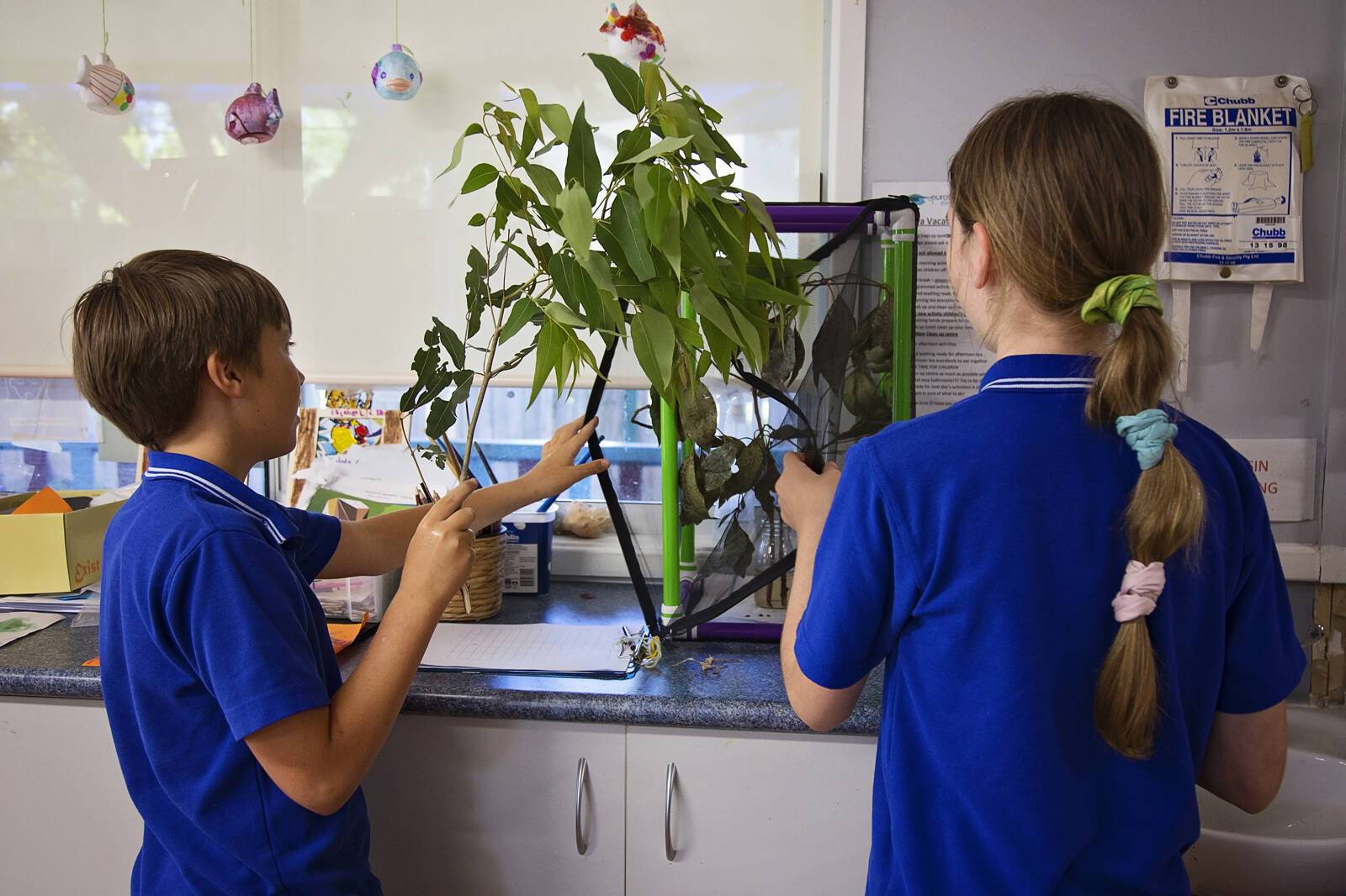 Moruya After School and Vacation Care