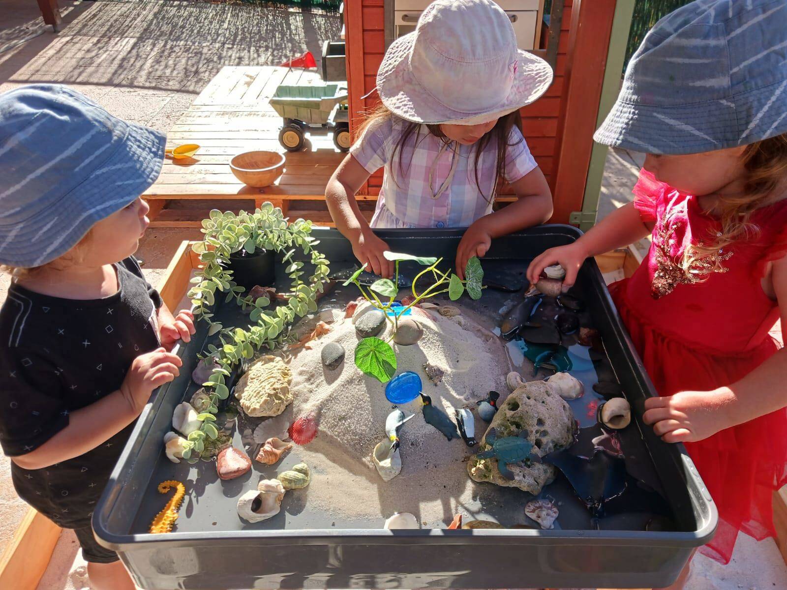 Little Blue Family Day Care 