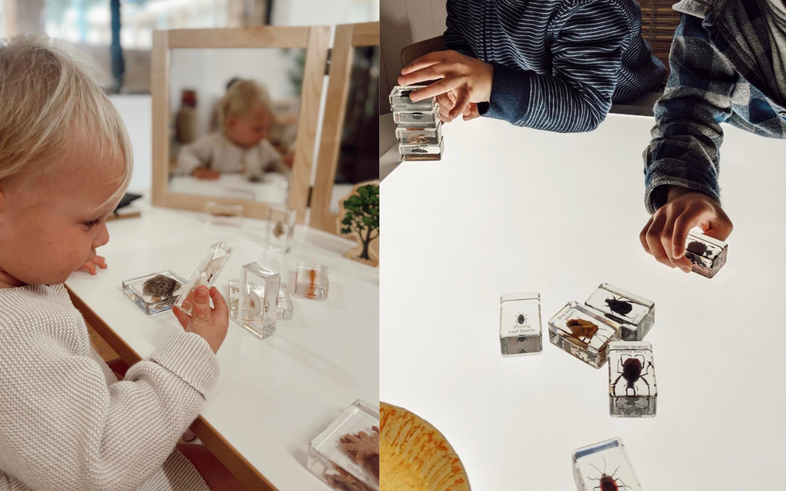 Kindy Place Early Learning Ashmore