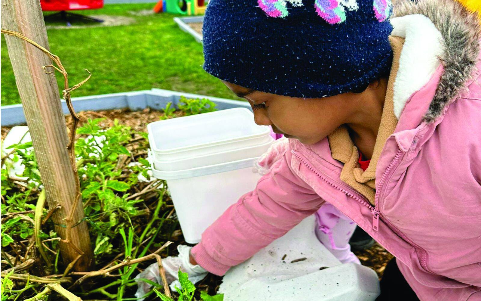 Little Stars Child Care & Kindergarten - Noble Park