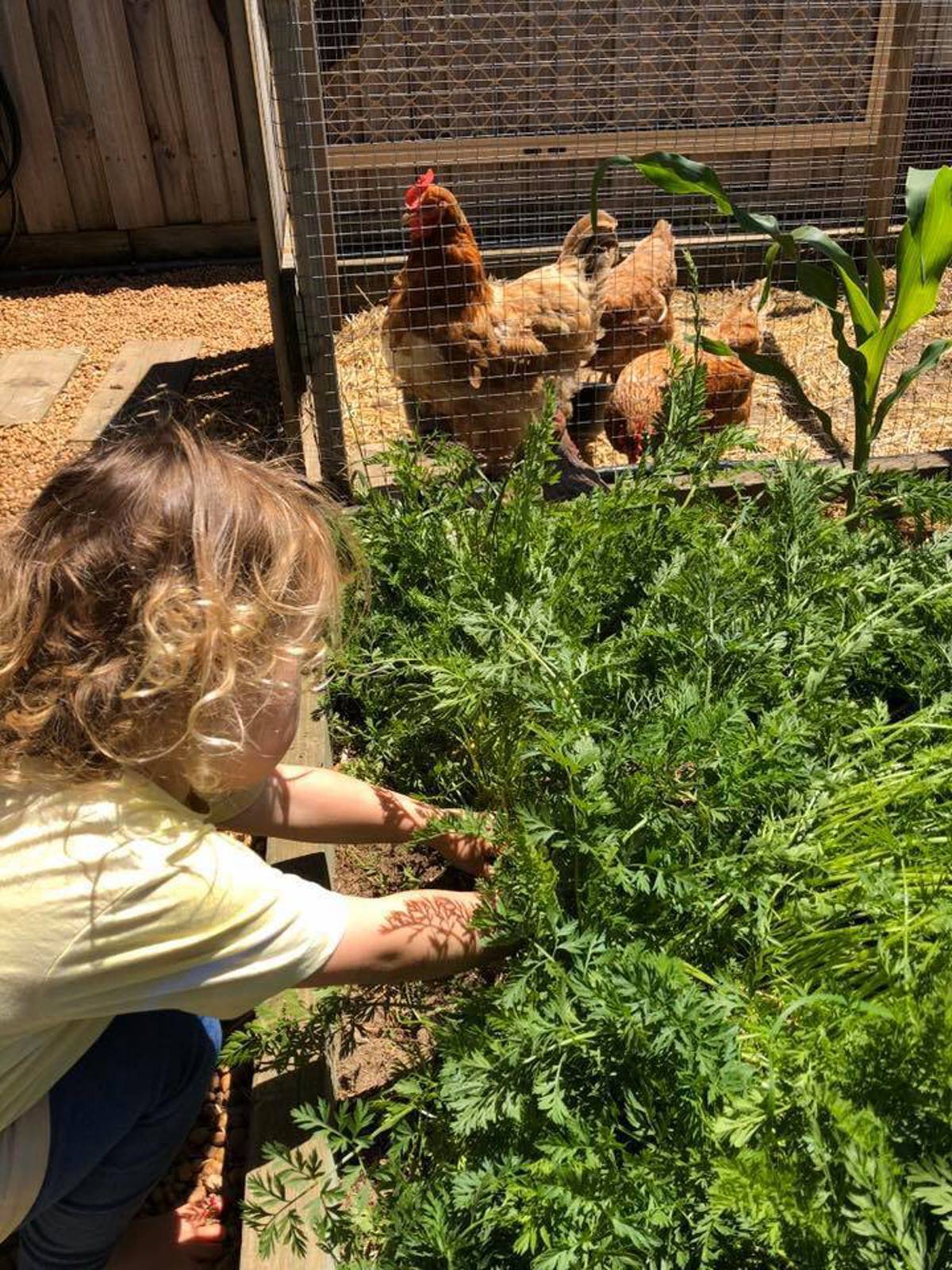 Discovery Family Day Care