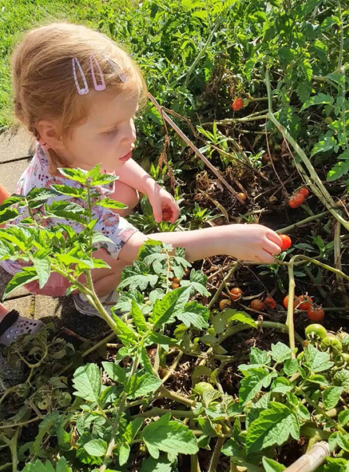 Jillian's Family Day Care