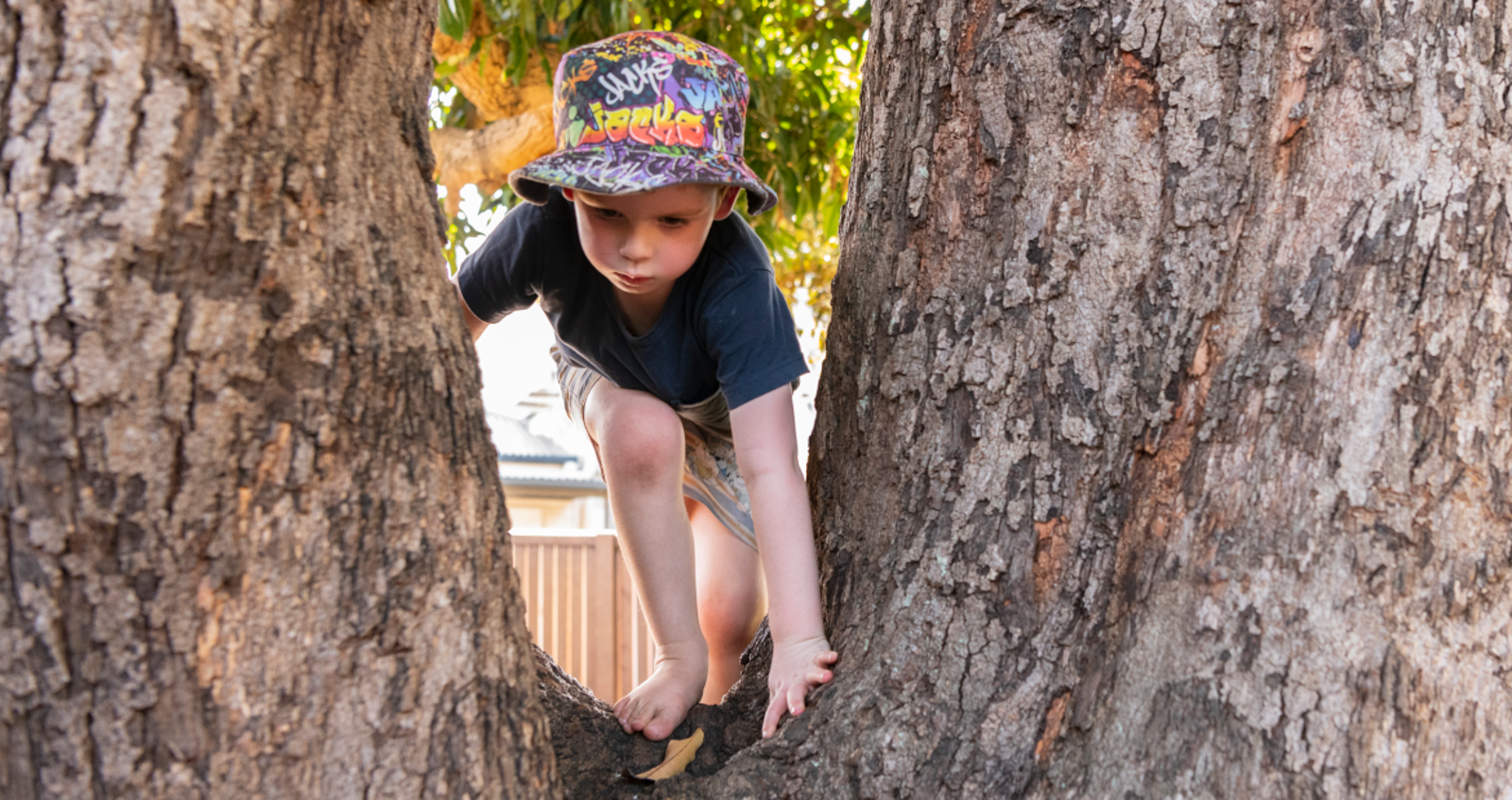 Windsor Neighbourhood Child Care Centre, Windsor