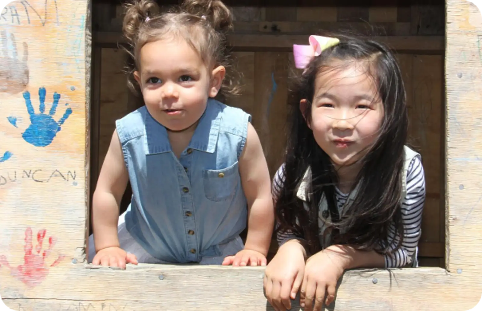 Starfish Early Learning Centre - Clayton South