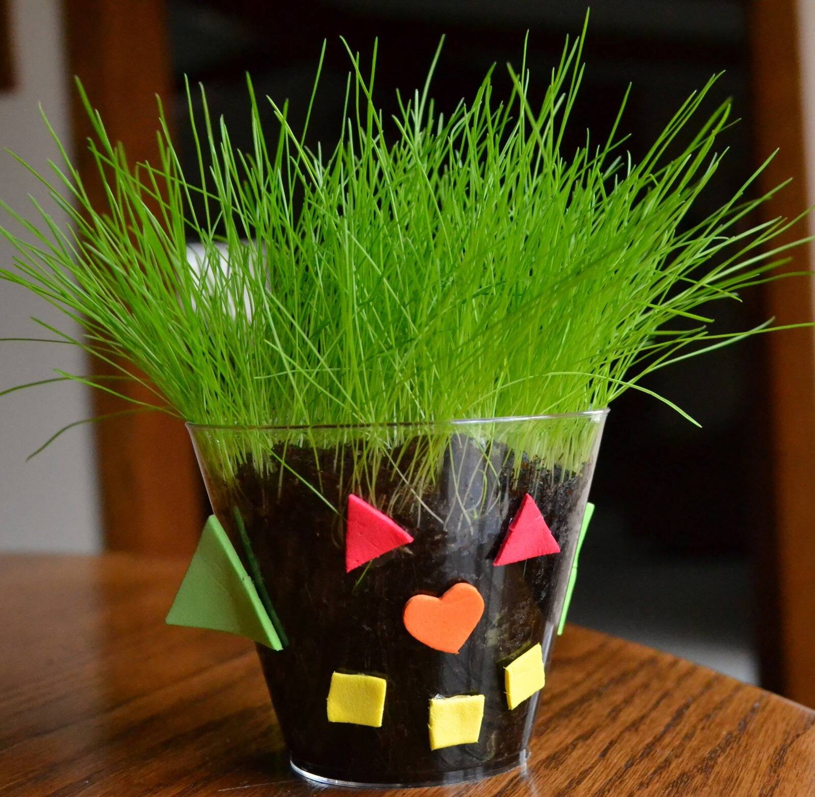 Little Sails Pre-School and OOSH