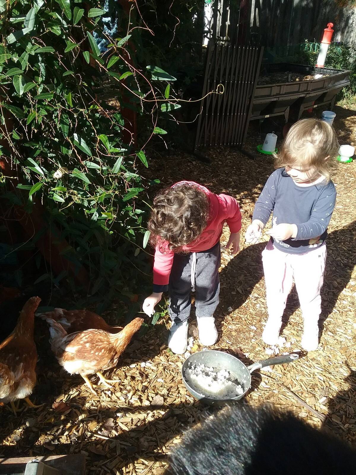 Cuddly Bear Child Care Heathmont