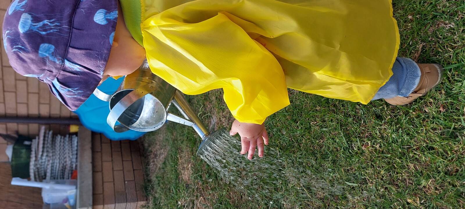 Creative Minds Family daycare registered with Early Years Care