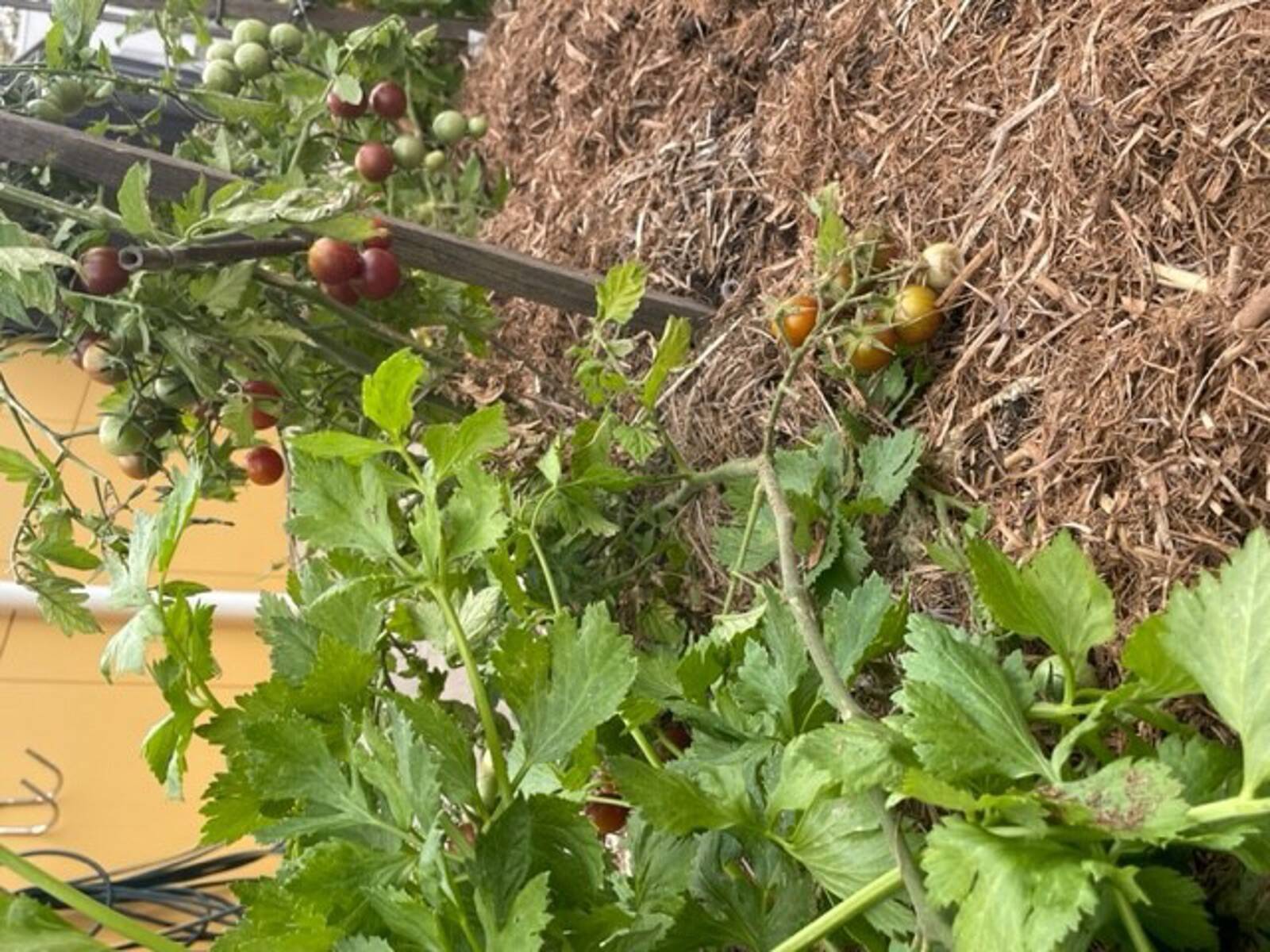 Lightning Reef YMCA Early Learning Centre