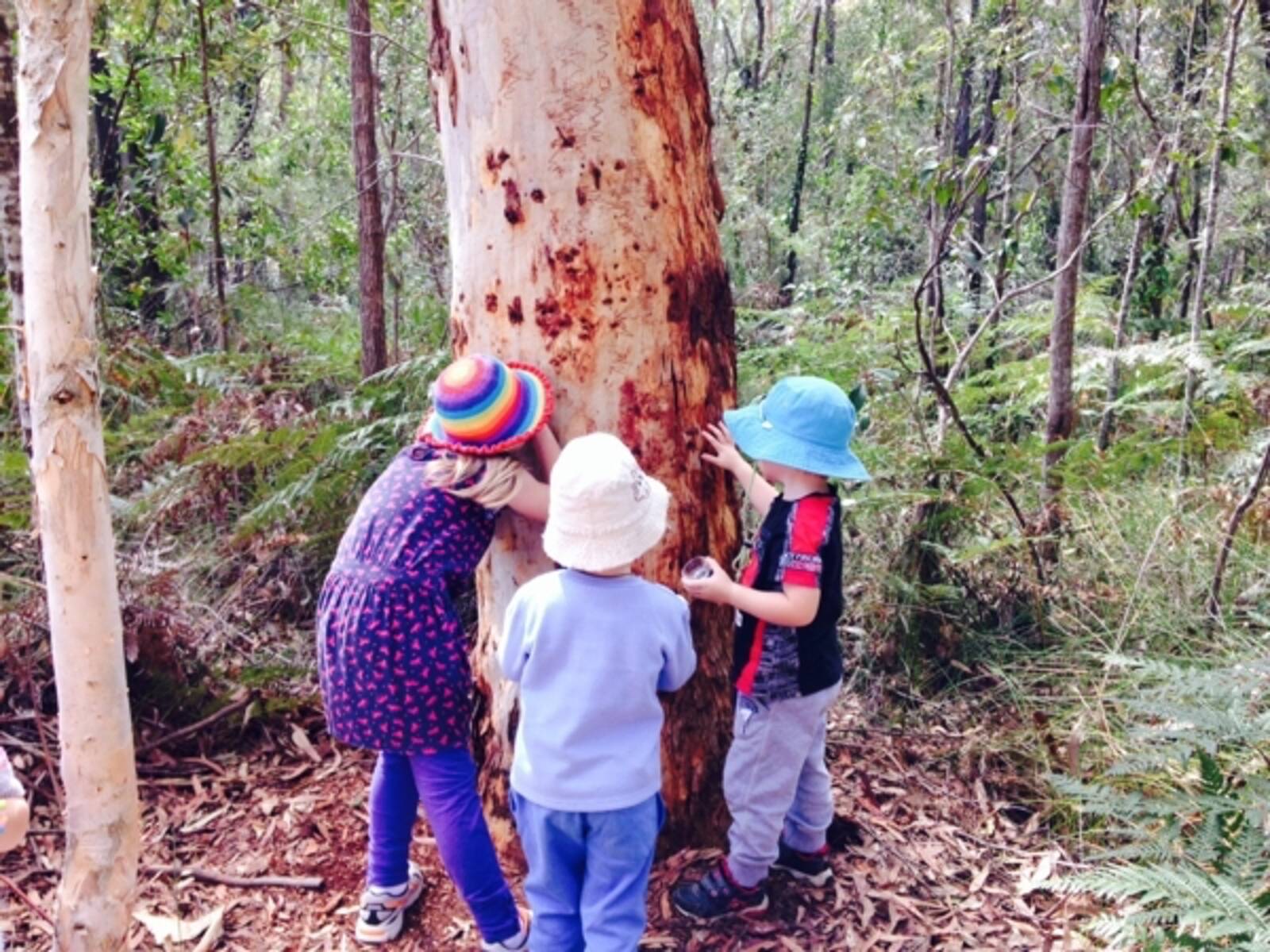 Wynnum Family Day Care Education Service - Wakerley
