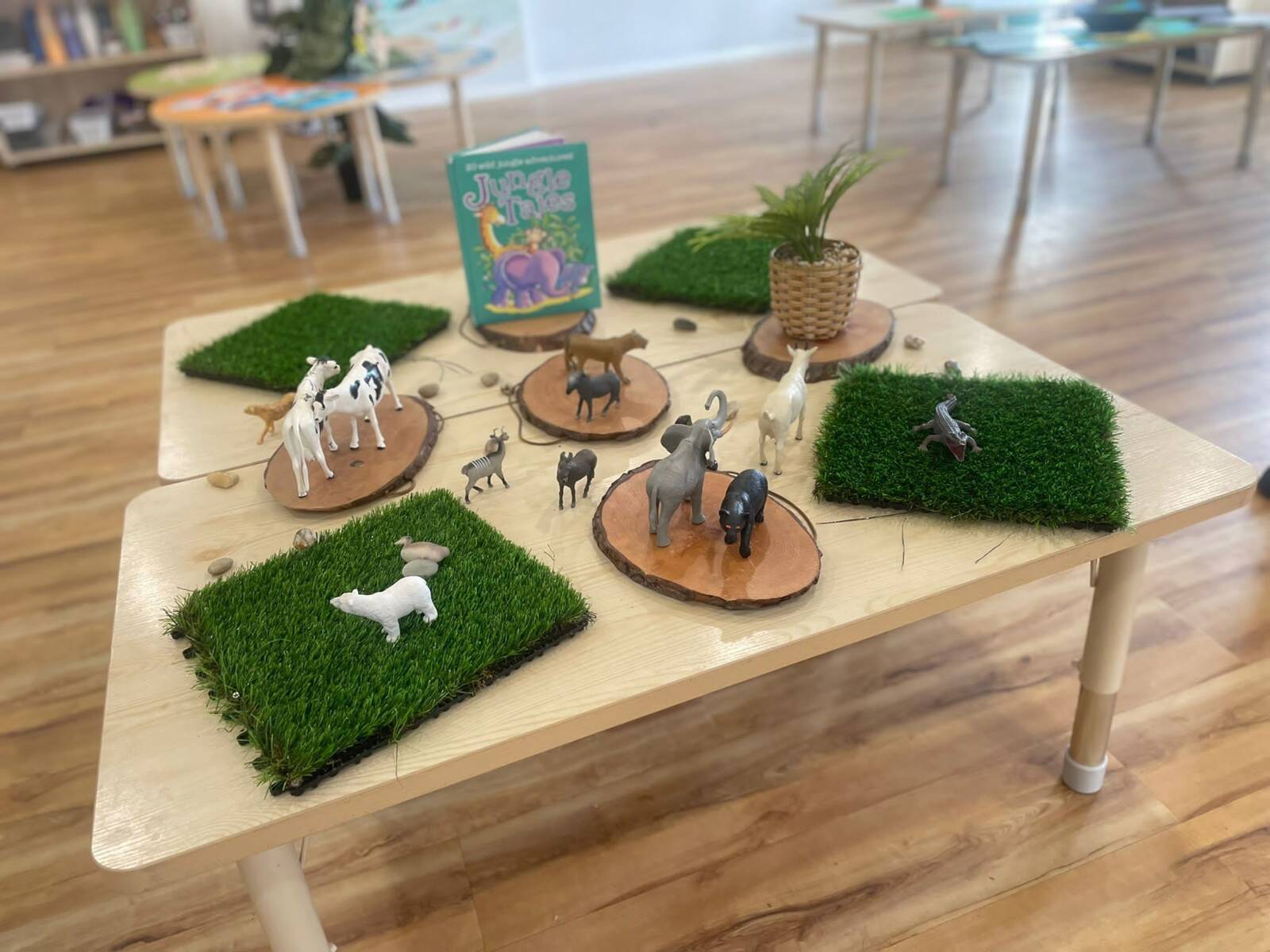 Hilltop Childcare Centre - Greystanes