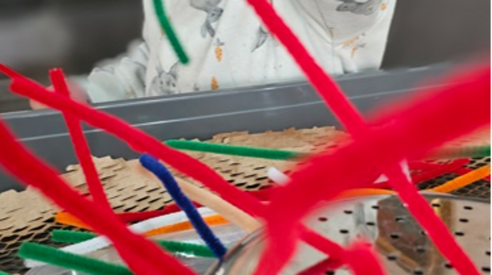 Snez's Family Day Care