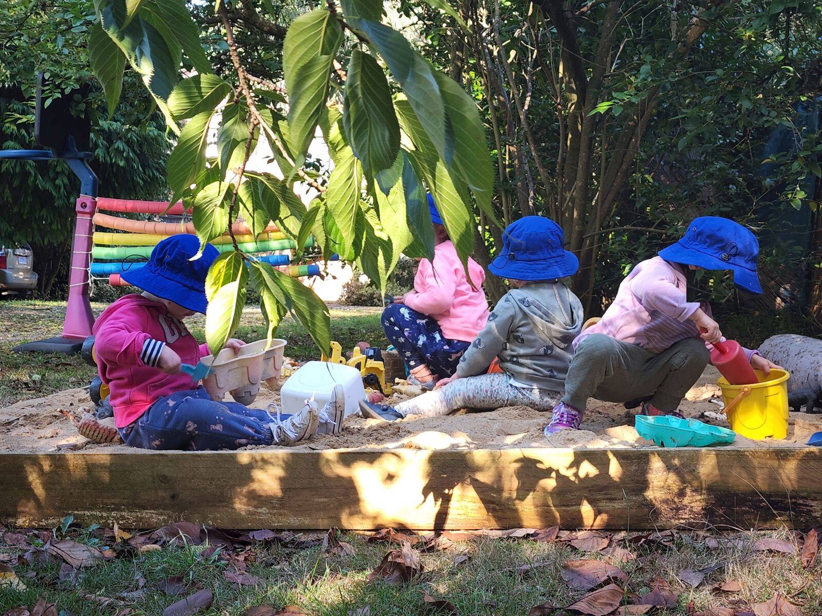 Tree Tots Family Day Care