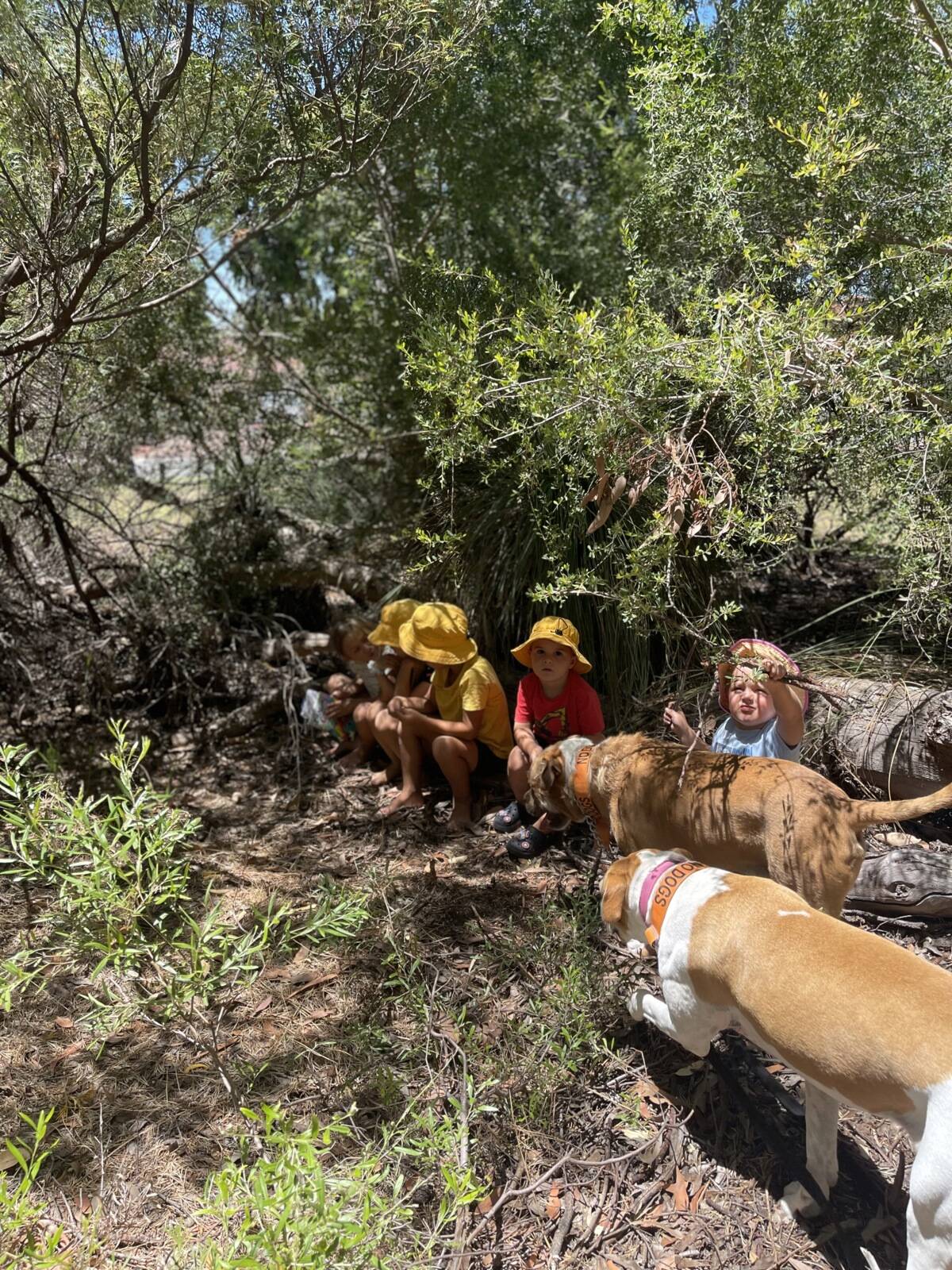 Happy at Home Family Day Care
